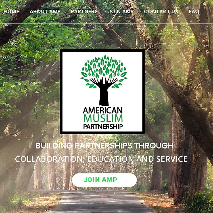 AMP selected project work