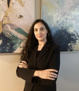 Mahwash Mahmood, founder, president, designer, and developer at Netphiles